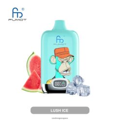 RandM Vapes For Sale | hielo exuberante Fumot Original RandM Digital Box Dispositivo de vapeo con pantalla de líquido y batería 12000 RRBBN87