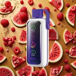 VOZOL Star 20000 Puffs Frambuesa Sandía Pantalla HD 2.2" Dual Malla