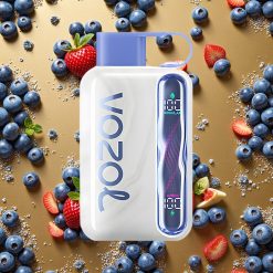 VOZOL STAR 40000 Puffs Vape Desechable Arándano Menta 1000mAh Tipo-C