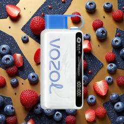 VOZOL STAR 9000/12000 Tormenta de Arándanos Carga Rápida 30%